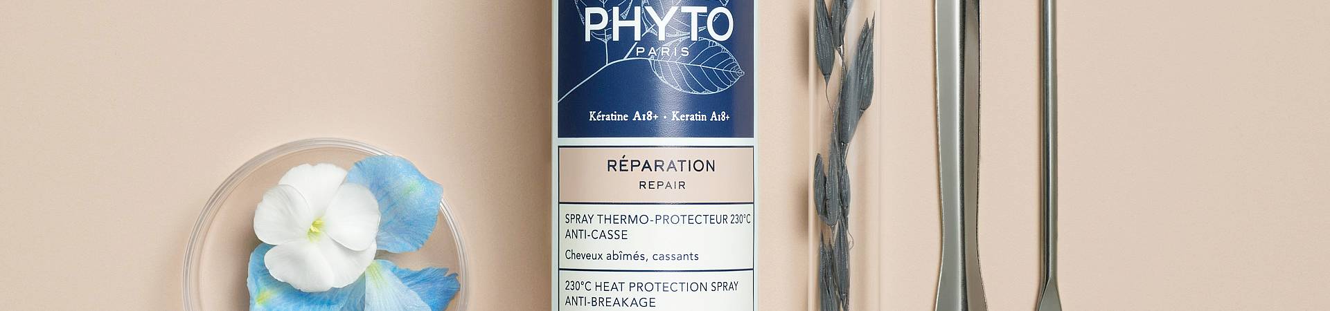 Phyto Reparation